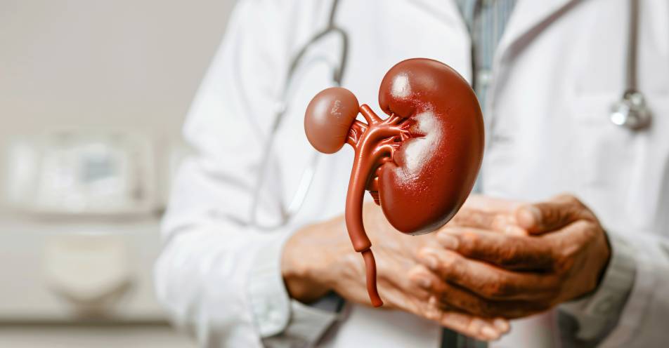 urologia