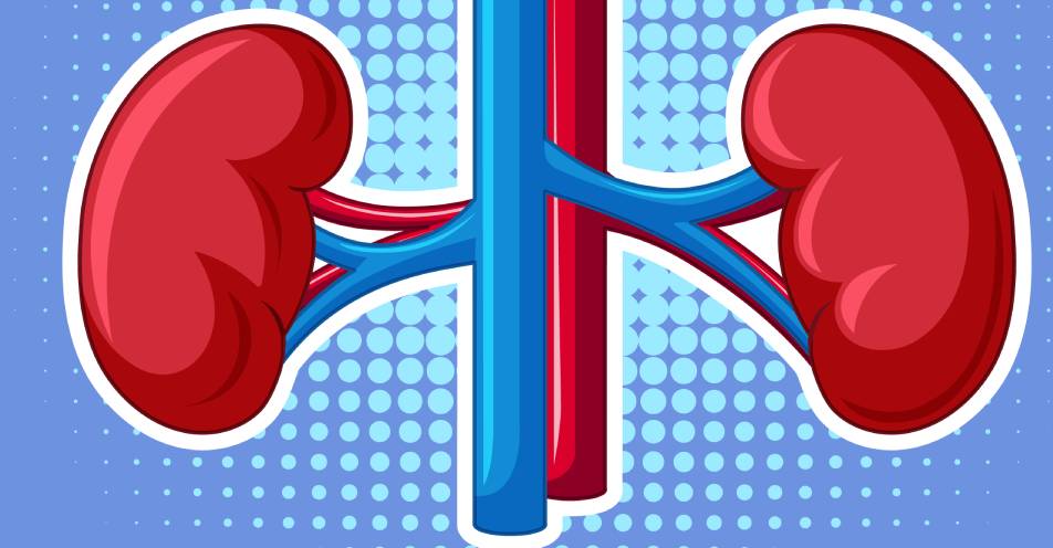 urologia